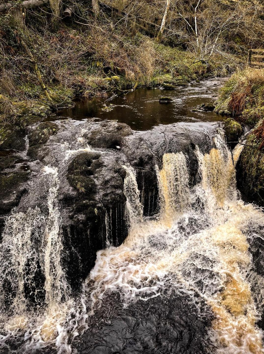 Glenariff Forest Evergreen Lodge Buitenkant foto